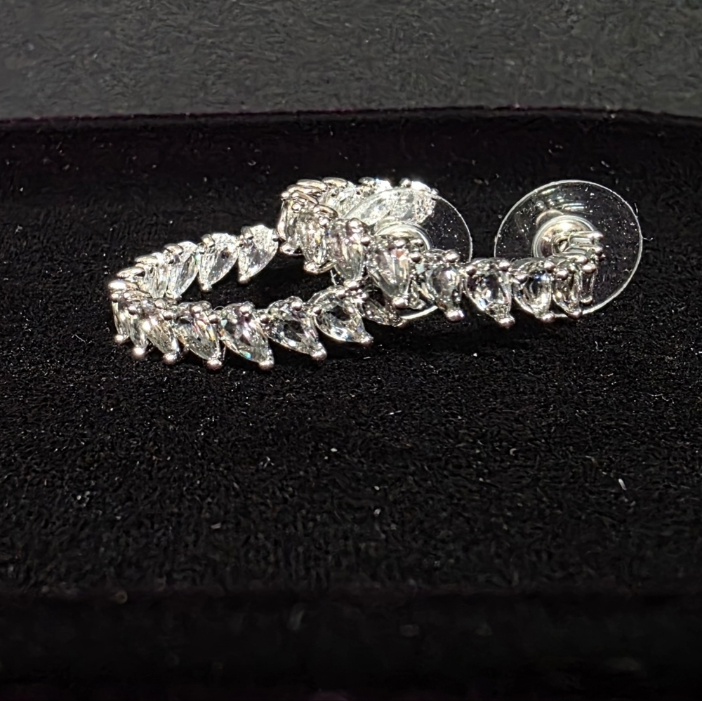 Elegant Silver Hoop Earrings